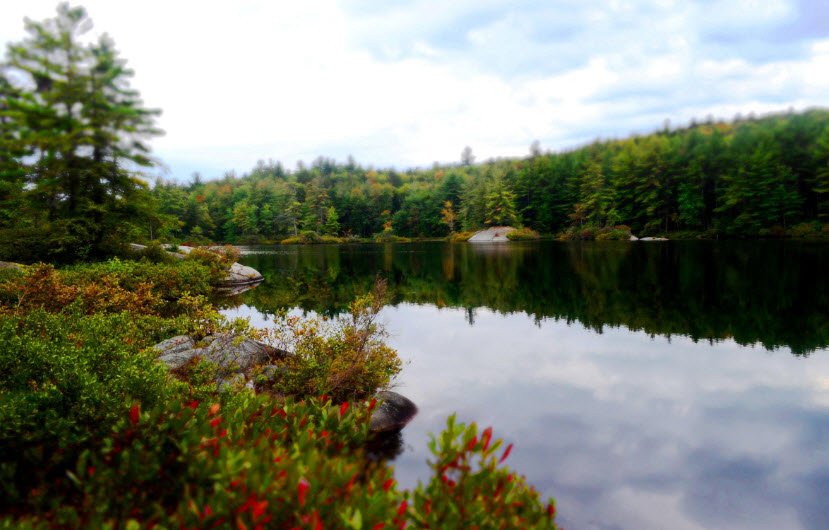 Pisgah State Park, New Hampshire, USA